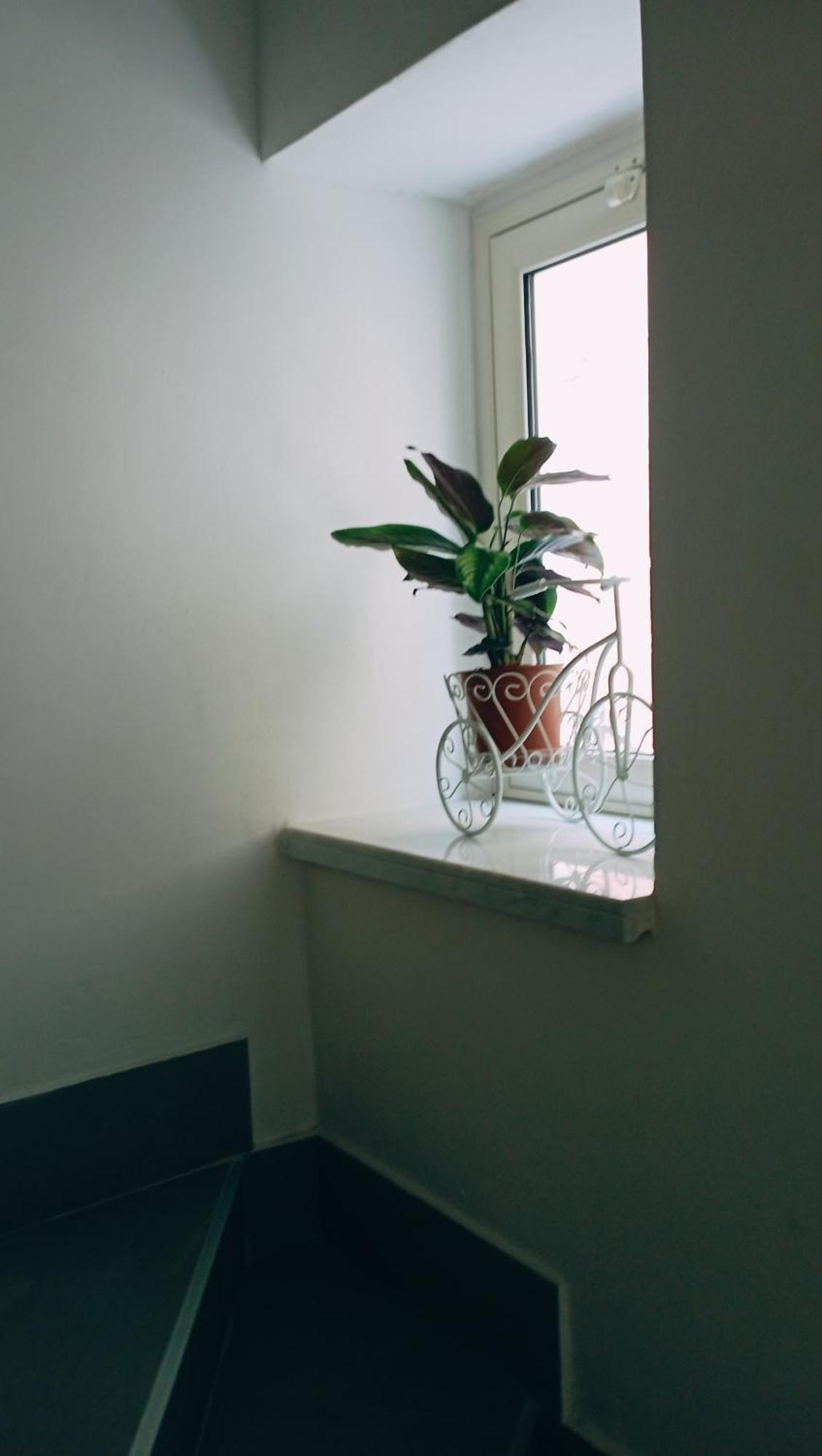 كالتانيسيتا Giovita Room And Suite Centro Sicilia المظهر الخارجي الصورة